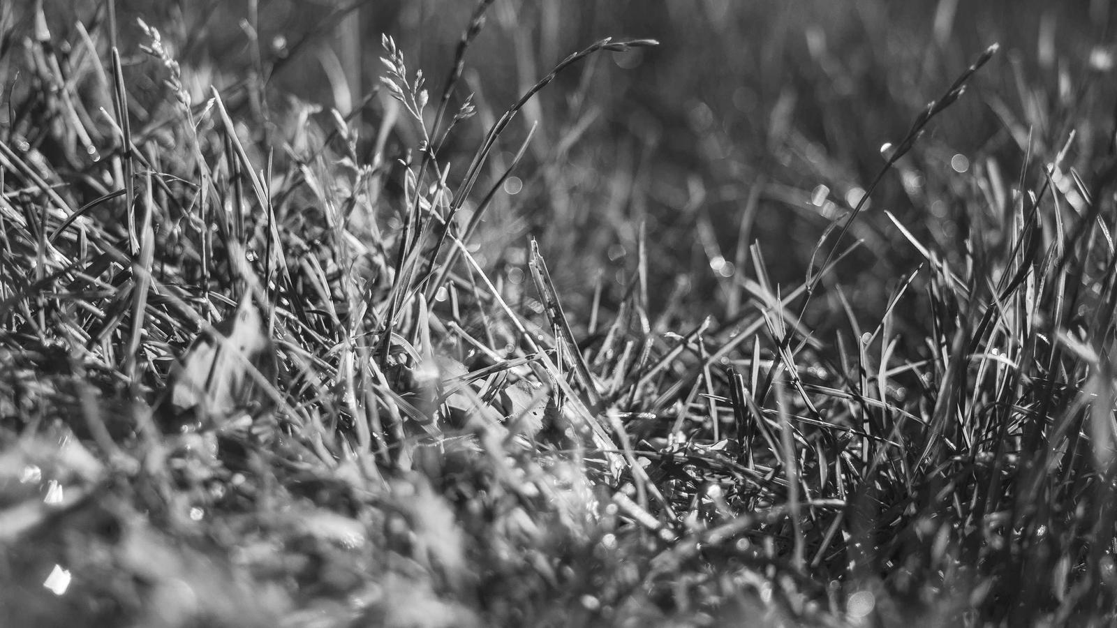 The 4-Hour Interview Thank-You Email Script (2026)