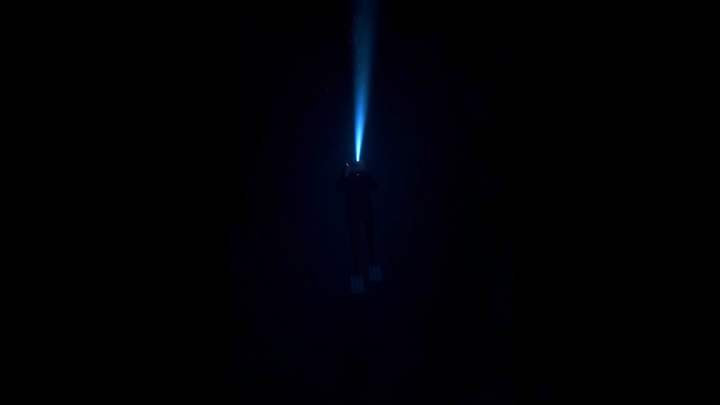 The Dark Descent: What Night Freediving Strips Away