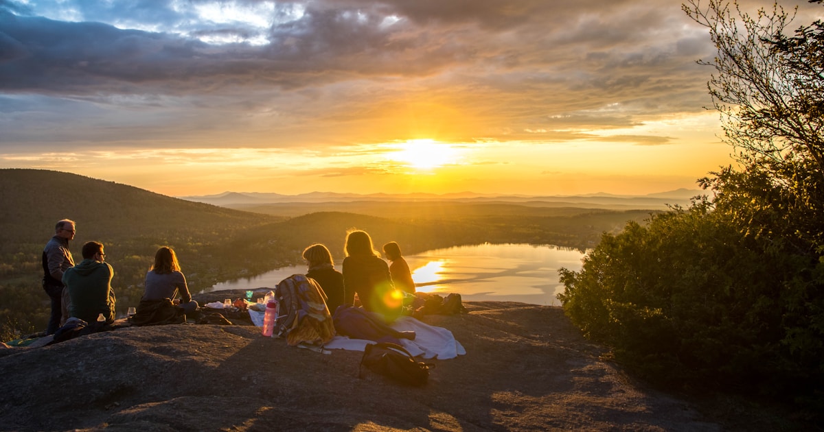 The Soft Awakening: Why Early Spring Pests Are Your Garden's Wake-Up Call (Not a Disaster)